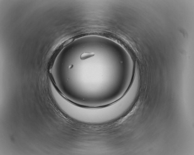 X0000112411453200908141350