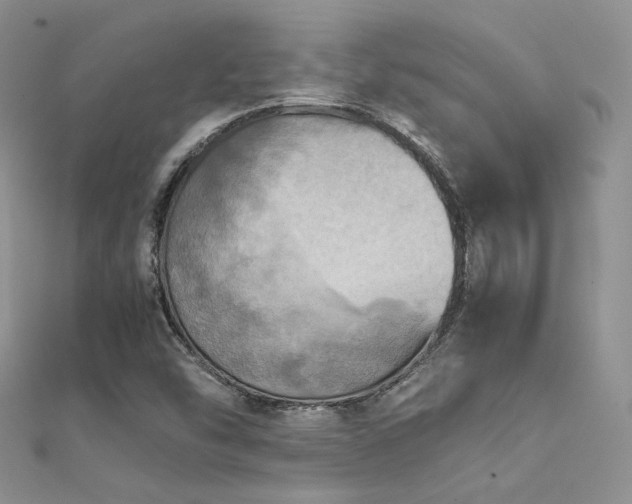 X0000112411454200908141350