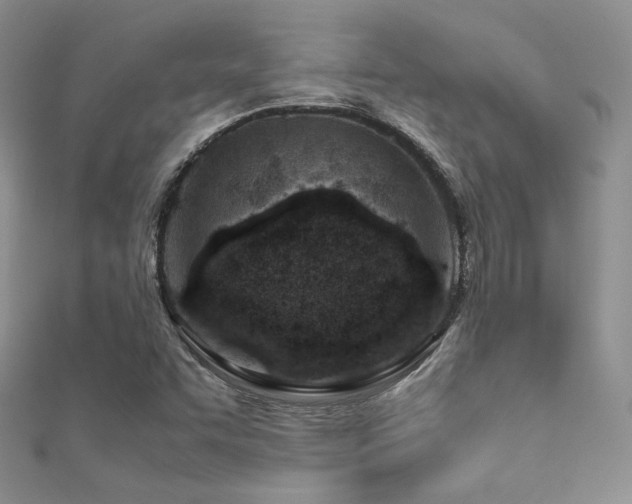 X0000112411455200908141350