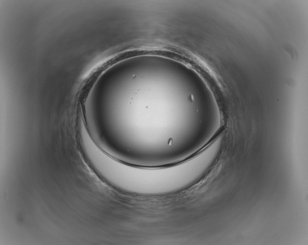 X0000112411456200908141350
