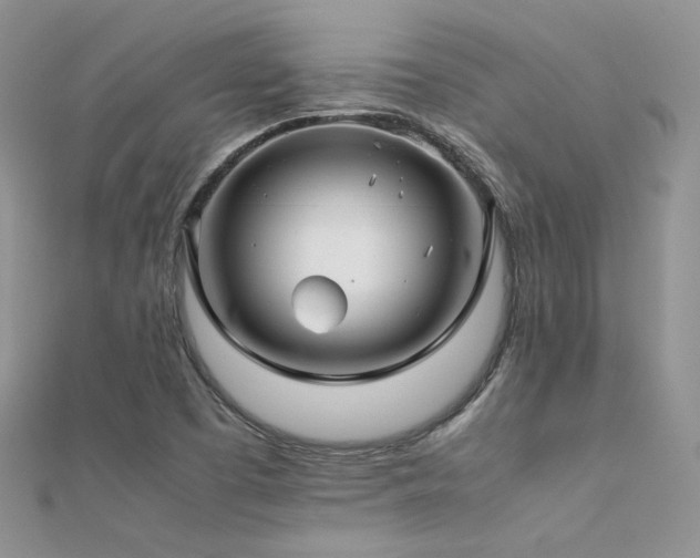 X0000112411457200908141350