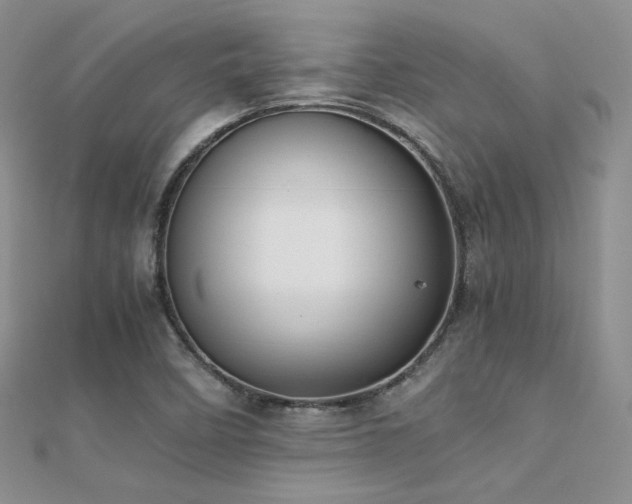 X0000112411458200908141350