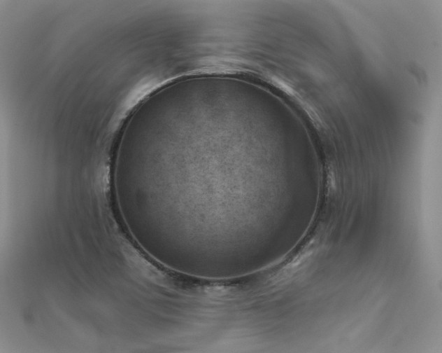 X0000112411459200908141350
