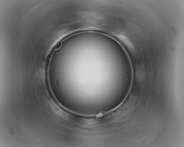 X0000112411460200908141350
