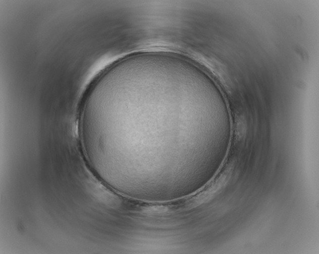 X0000112411462200908141350