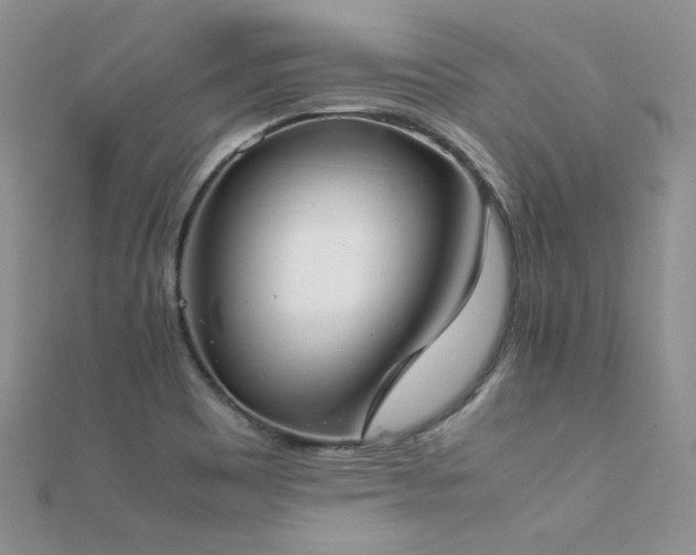 X0000112411465200908141350