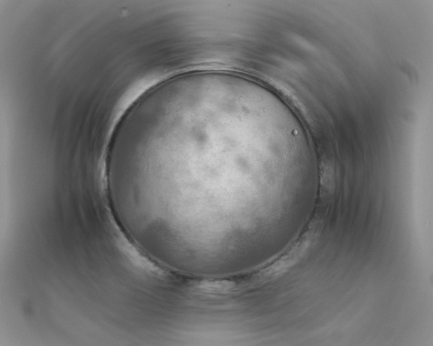 X0000112411466200908141350