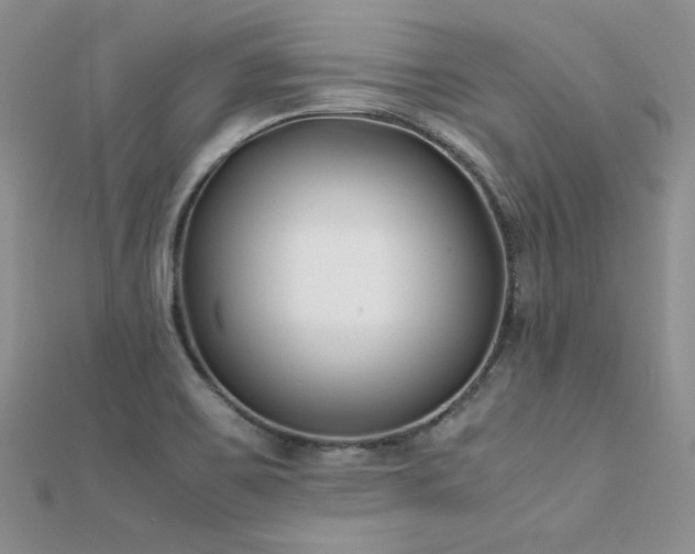 X0000112411467200908141350