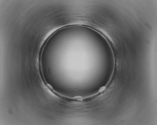 X0000112411468200908141350