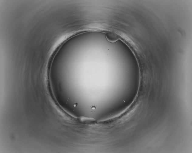 X0000112411469200908141350