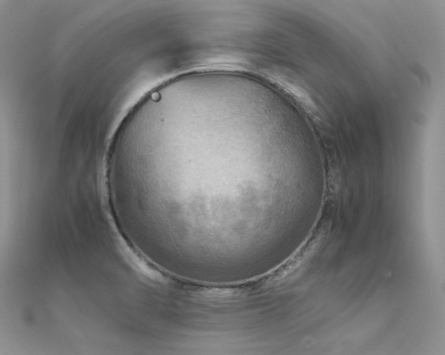 X0000112411470200908141350