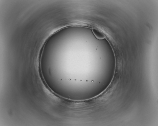 X0000112411471200908141350