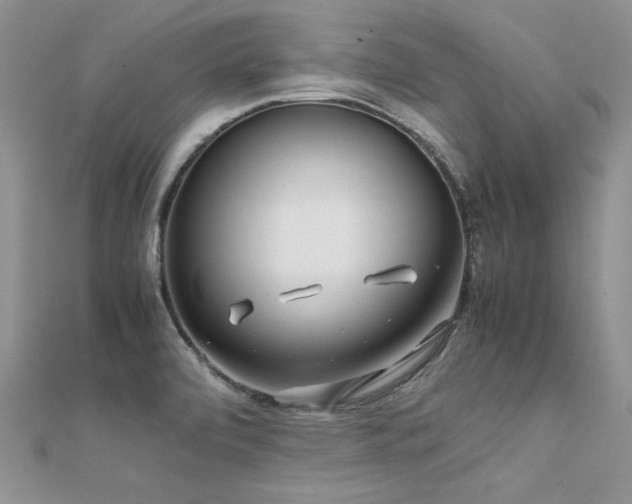 X0000112411472200908141350