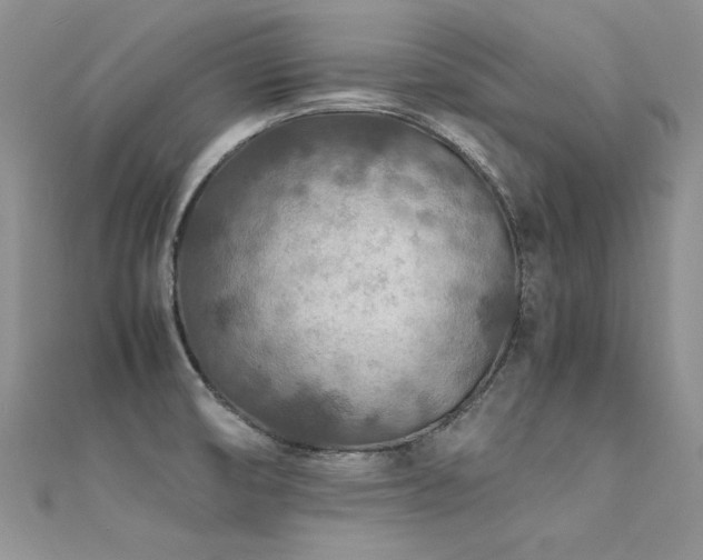 X0000112411474200908141350