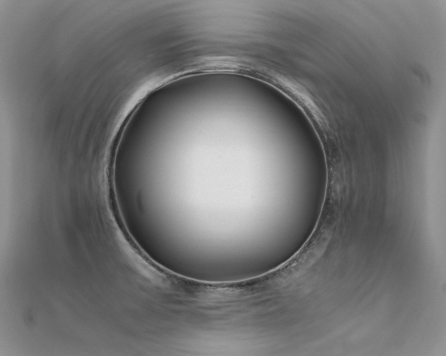 X0000112411475200908141350