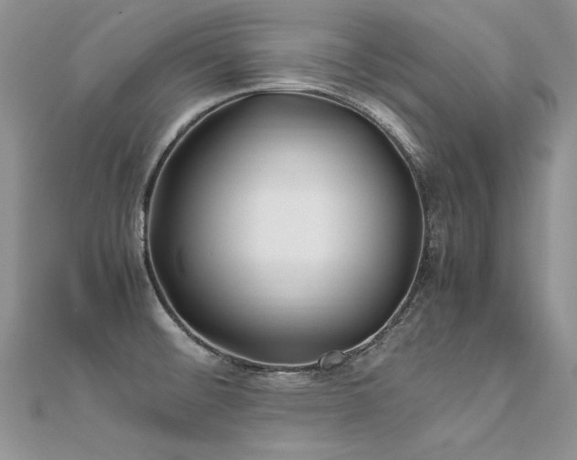 X0000112411476200908141350