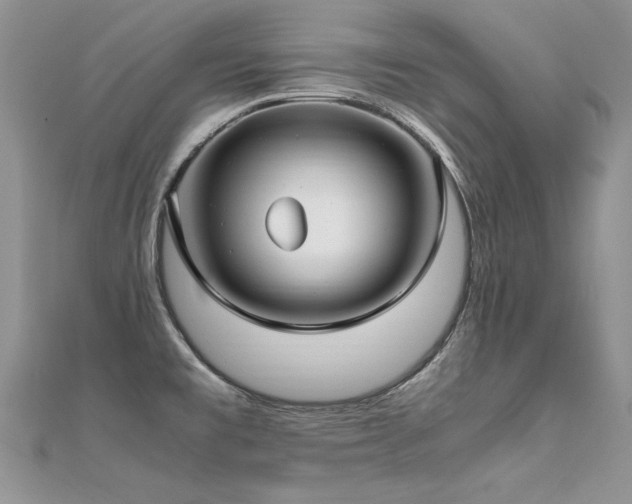 X0000112411477200908141350