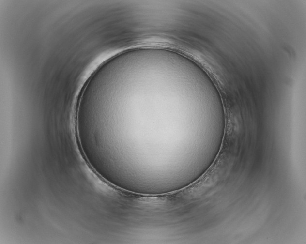 X0000112411478200908141350