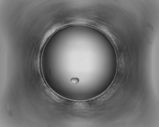 X0000112411480200908141350