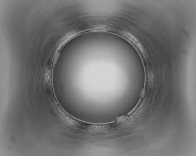 X0000112411481200908141350