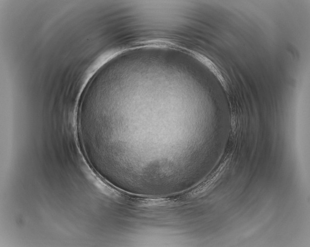 X0000112411482200908141350