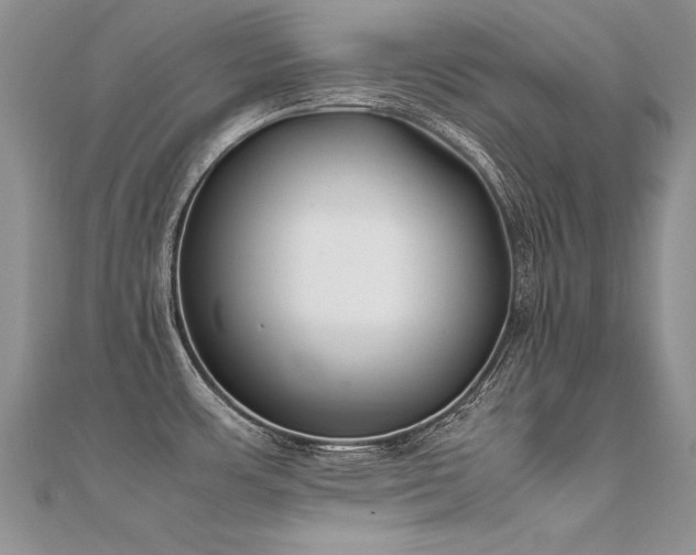 X0000112411483200908141350