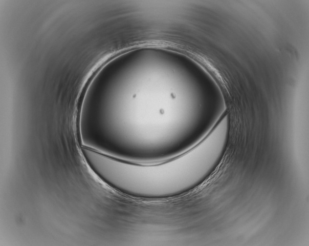 X0000112411484200908141350
