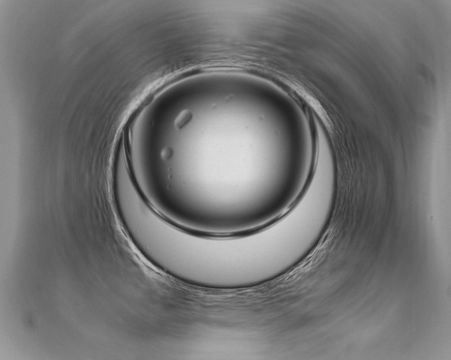 X0000112411485200908141350
