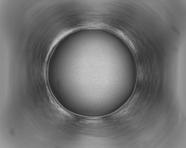 X0000112411486200908141350
