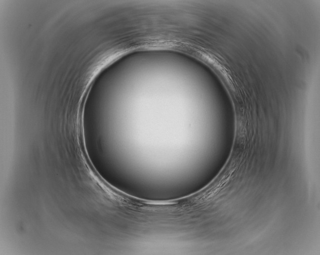 X0000112411487200908141350