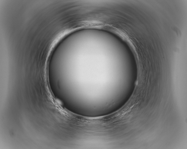 X0000112411488200908141350
