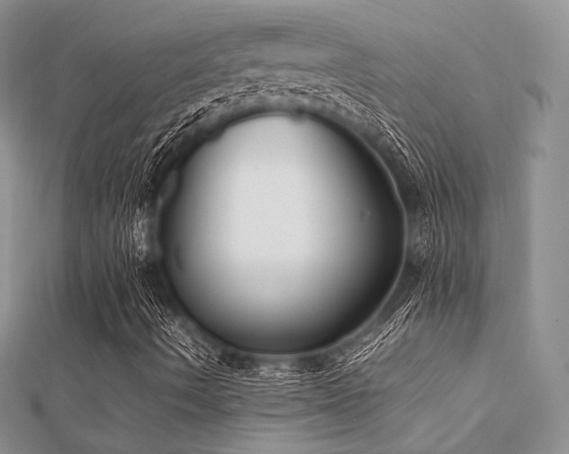 X0000112411490200908141349