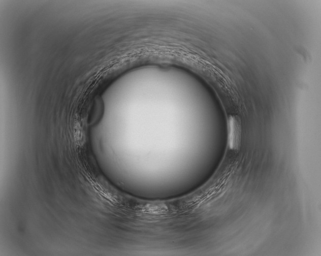 X0000112411491200908141349
