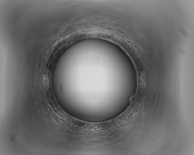 X0000112411493200908141349