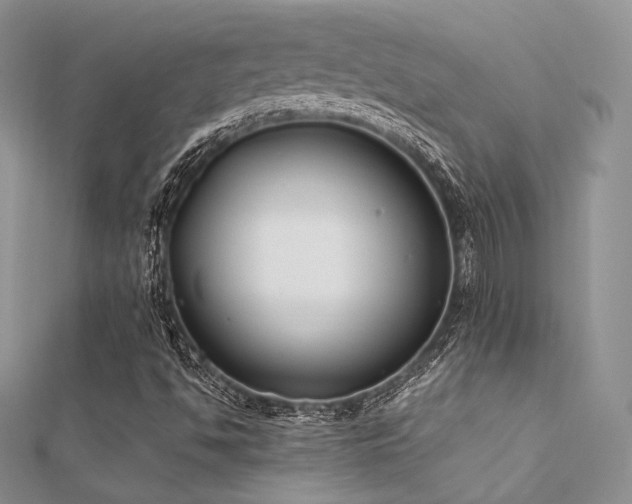 X0000112411494200908141349