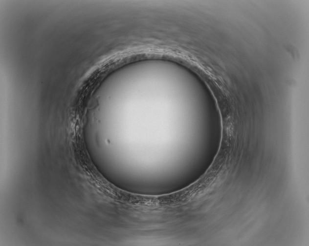 X0000112411495200908141349