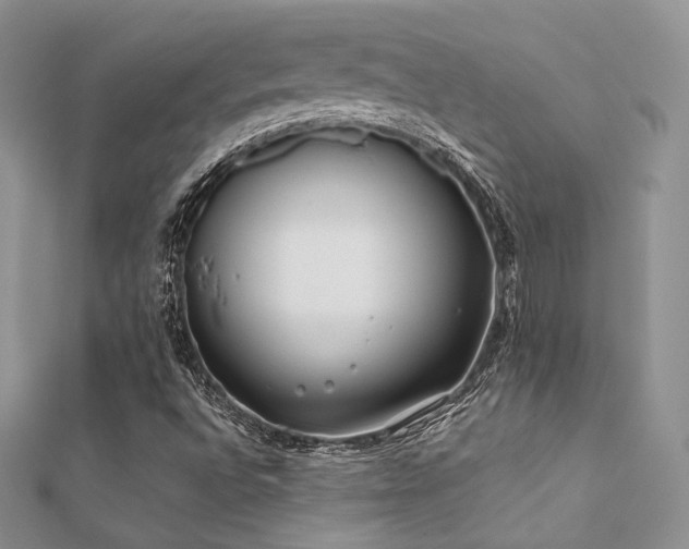 X0000112411496200908141349