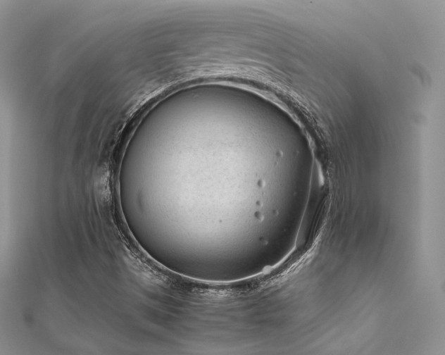 X0000112411497200908141349