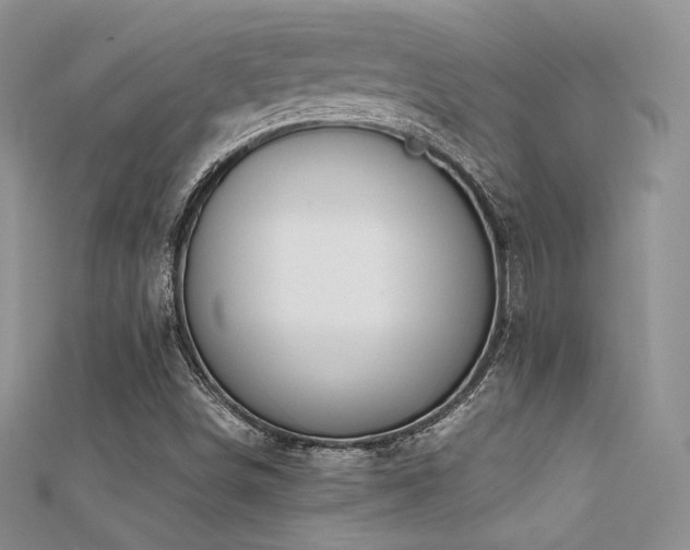 X0000112411498200908141349