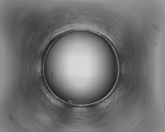 X0000112411499200908141349