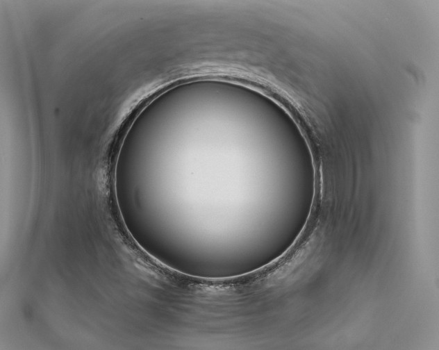 X0000112411501200908141349