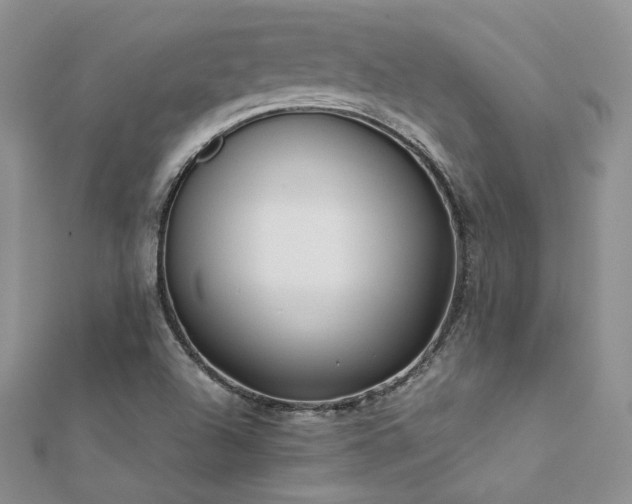 X0000112411504200908141349