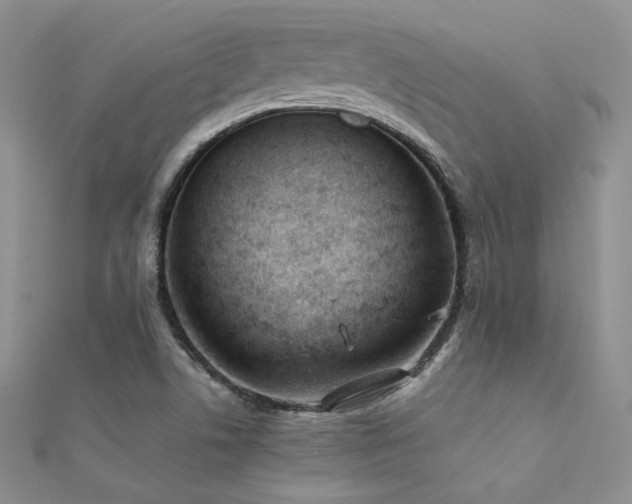 X0000112411506200908141349