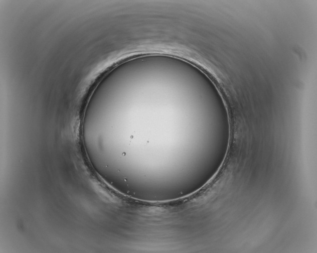 X0000112411507200908141349