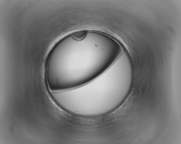 X0000112411508200908141349