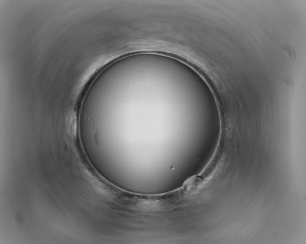 X0000112411509200908141349