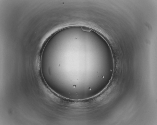 X0000112411510200908141349