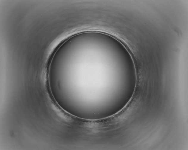 X0000112411511200908141349