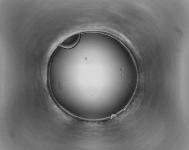X0000112411512200908141349