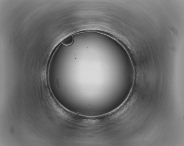 X0000112411513200908141349